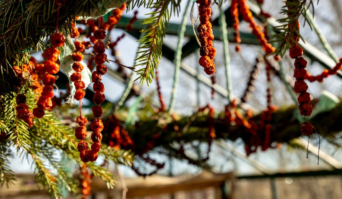 En klase bär som hänger från en krans.